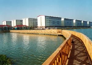 （圖）上海工程技術大學