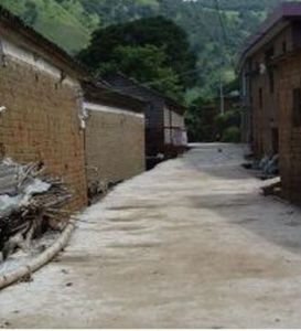 大黑樹上村 大黑樹上村