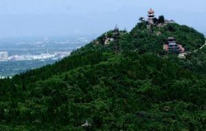 石板森林公園 石板森林公園