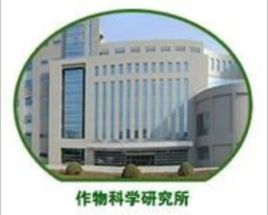 中國農業科學院作物科學研究所 中國農業科學院作物科學研究所