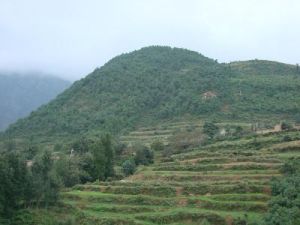 上新平自然村 上新平自然村