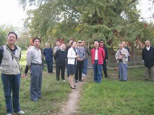 國際老人節 國際老人節