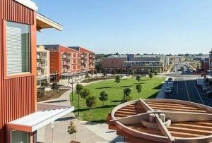 加利福尼亞大學戴維斯分校