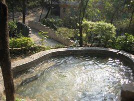 陽山森林溫泉度假山莊 陽山森林溫泉度假山莊