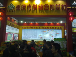 重慶市供銷合作總社