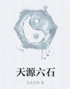 天源六石