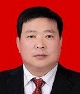 陳萬勝[建始縣人民政府副縣長、公安局長]