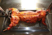 2012，瘋狂烤兔來了。你吃了沒有？