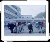 長安大學附屬國小 長安大學附屬國小