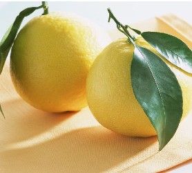 常山胡柚 常山胡柚