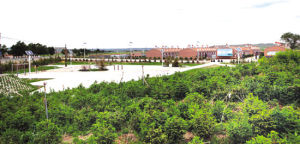 科布爾鎮 科布爾鎮