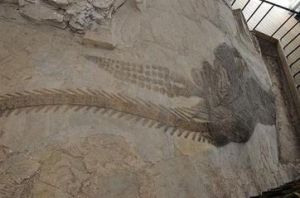 化石成岩學 化石成岩學