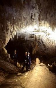 懷托摩螢火蟲洞