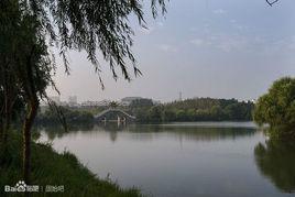 桃花巷[杭州桃花巷]