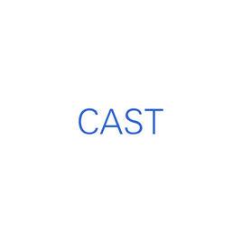 CAST[英語詞語]