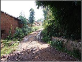 四合街村 四合街村