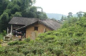 四家寨自然村 四家寨自然村