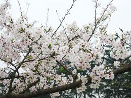 “六·一”慘案遺址