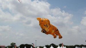 風力活動公園 風力活動公園