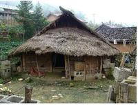 下金牙自然村 下金牙自然村