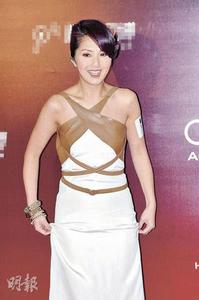 第35屆香港國際電影節