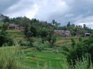 翁家沖村 翁家沖村