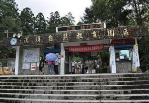 溪頭自然教育園區