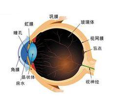 生理性近視 生理性近視