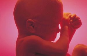 中國重慶胎兒大學 中國重慶胎兒大學