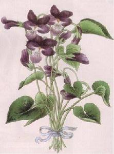 （圖）錯覺圖片