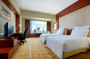 合肥元一希爾頓酒店