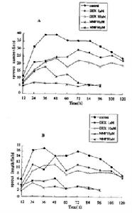 糖尿病性腎病變