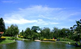 黃埔公園 黃埔公園
