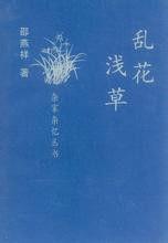 亂花淺草 亂花淺草