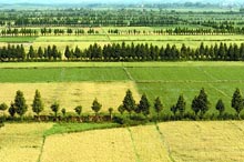 江西萬年縣 江西萬年縣