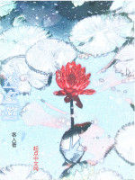 冷紅蓮 冷紅蓮