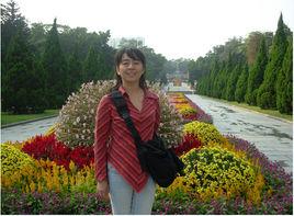 丁婷[北方民族大學教授]