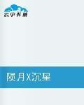 隕月沉星 隕月沉星