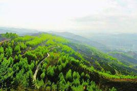 西寧西堡生態森林公園 西寧西堡生態森林公園