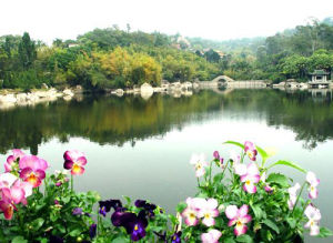 怪坡溫泉 怪坡溫泉