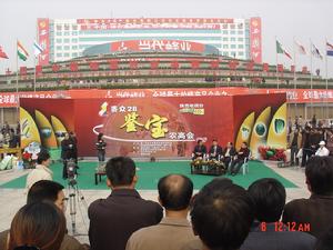 CAF[海運中船公司徵收的一種附加費]