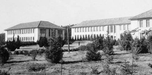 三幢品字形科研大樓竣工（1957年）