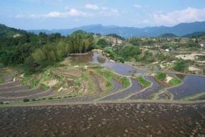 蔡家山村 蔡家山村