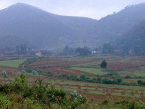 瓦窯塘村 瓦窯塘村