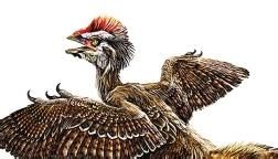 帶毛恐龍 帶毛恐龍