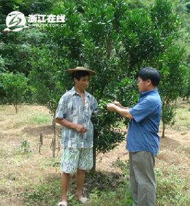 張獻斌[麗新農技站第一任站長]