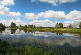 河灣村[安徽省合肥市肥東縣河灣村]