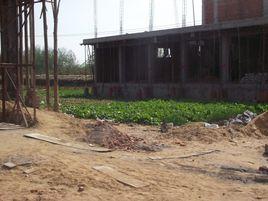 郯城縣紅花鄉 郯城縣紅花鄉