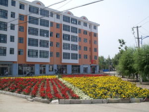 雞林朝鮮族鄉 雞林朝鮮族鄉