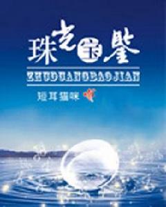 珠光寶鑑 珠光寶鑑